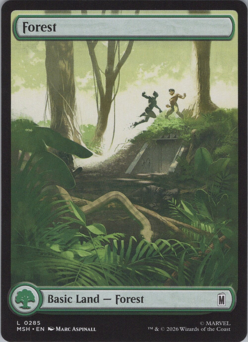 Forest