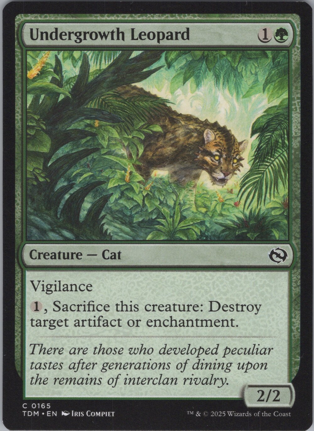 Undergrowth Leopard