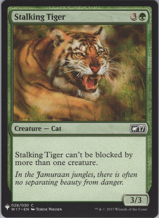Stalking Tiger
