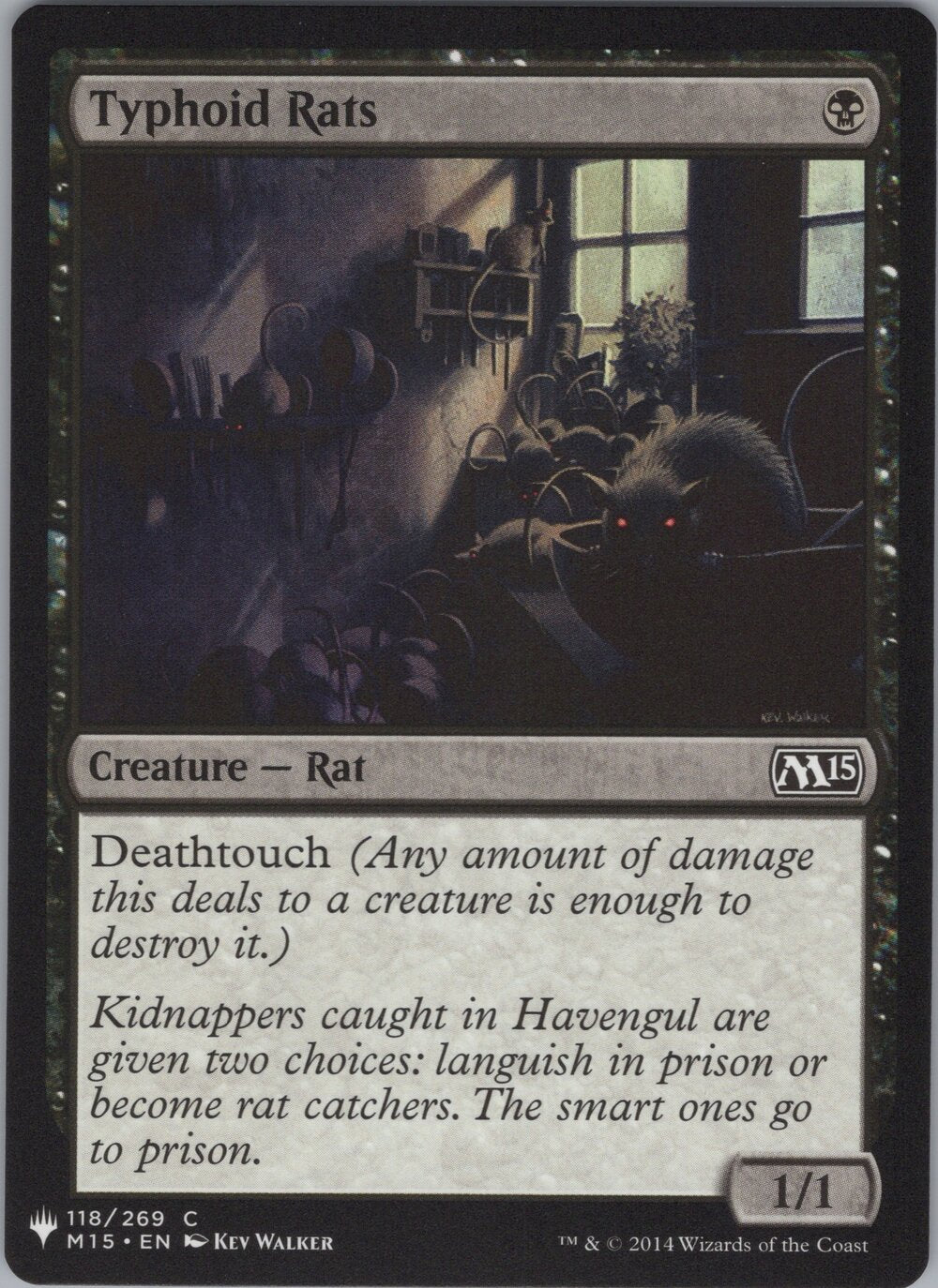 Typhoid Rats