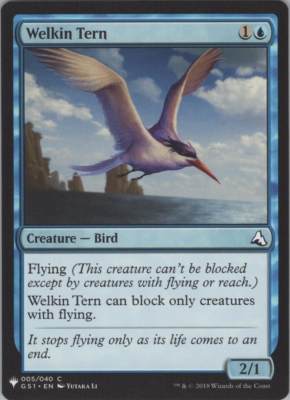 Welkin Tern