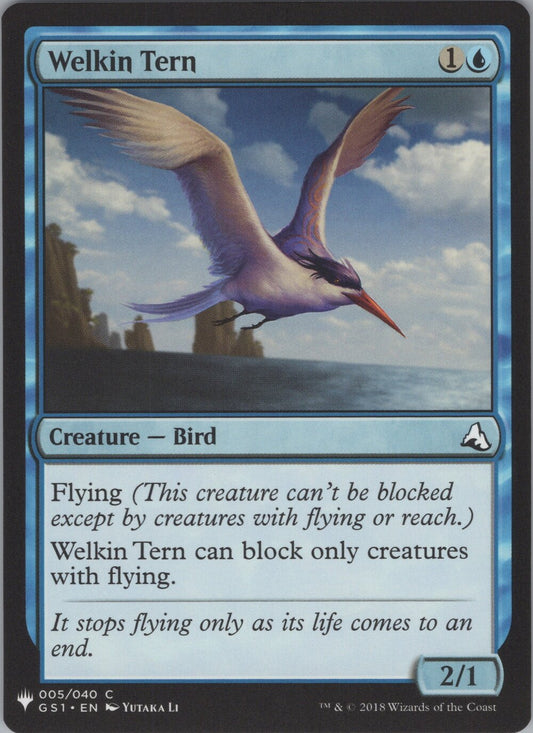 Welkin Tern