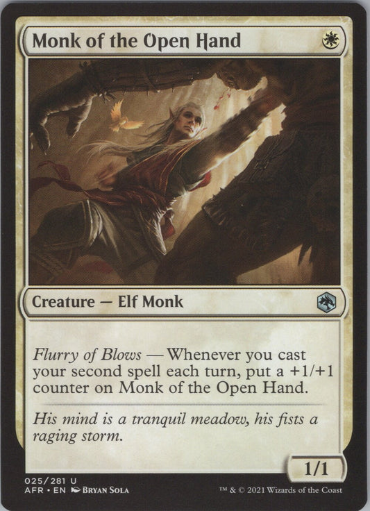 Monk of the Open Hand