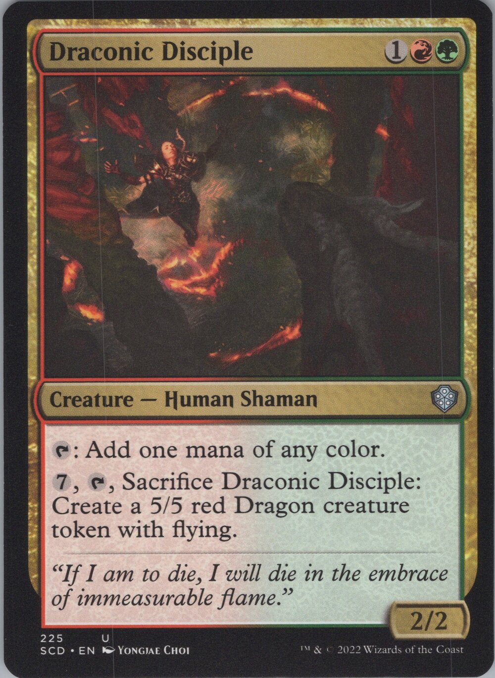Draconic Disciple