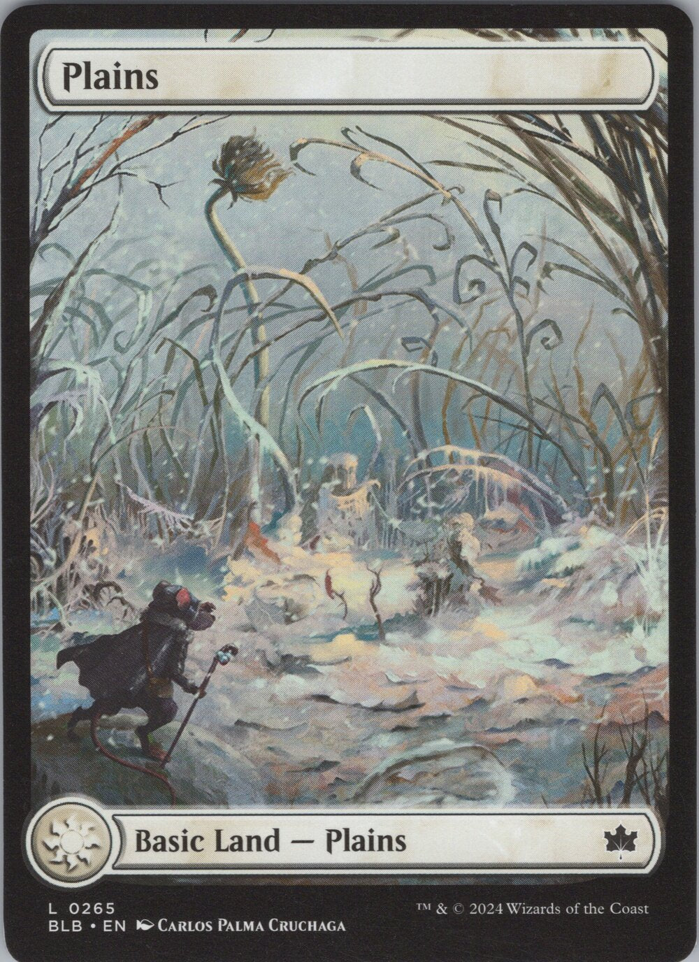 Plains