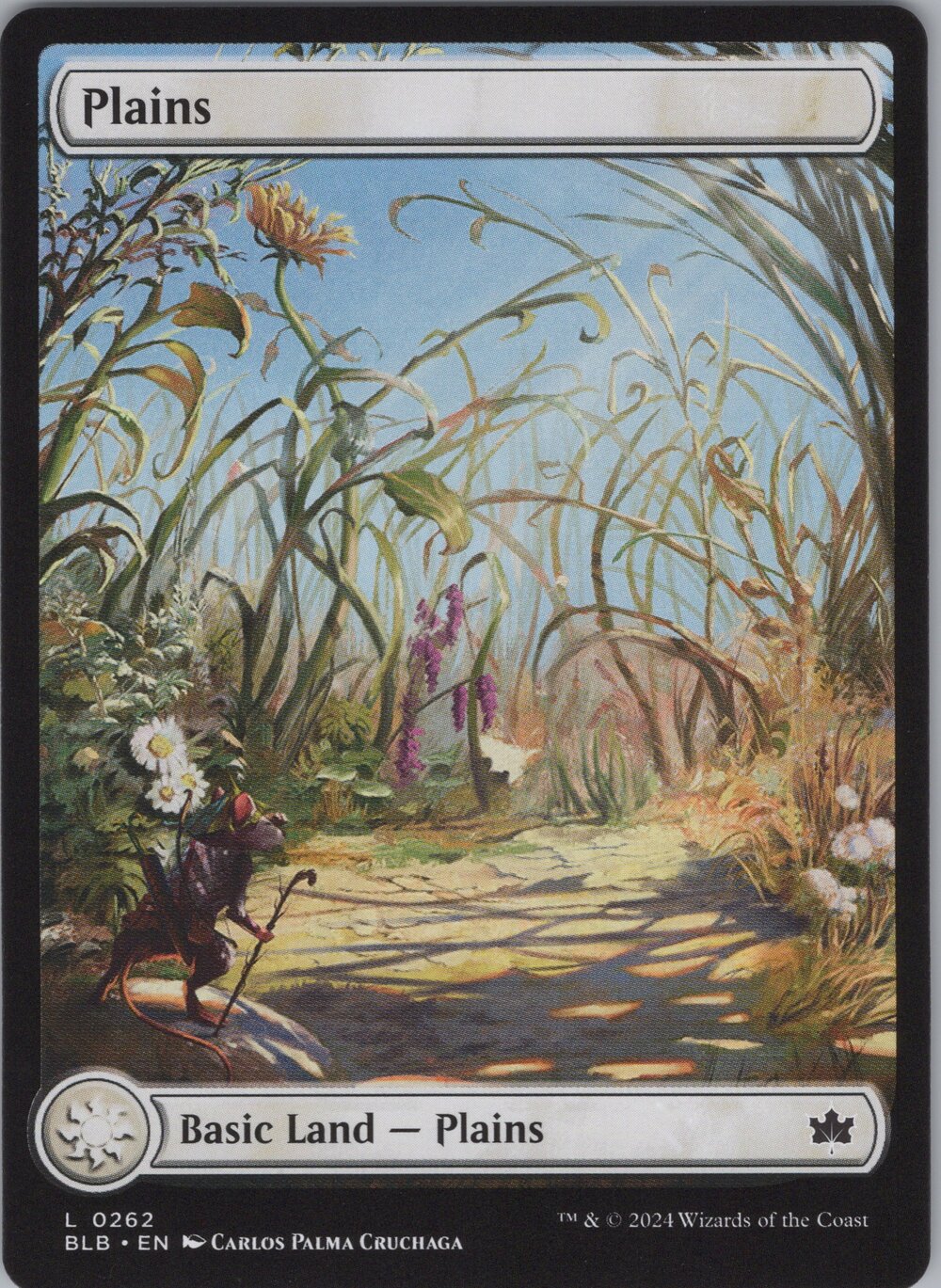 Plains