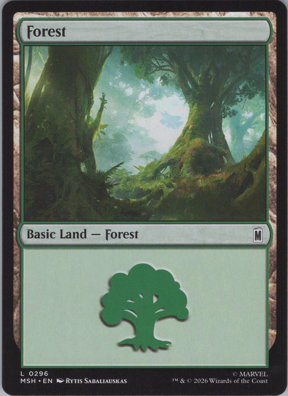 Forest