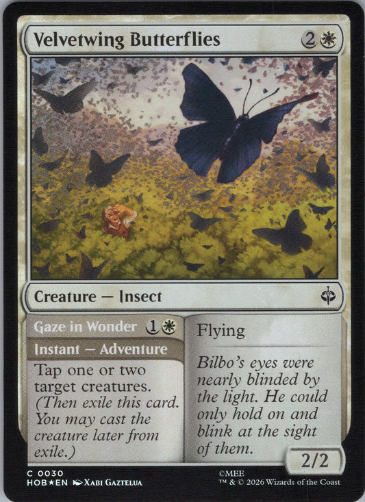 Velvetwing Butterflies // Gaze in Wonder