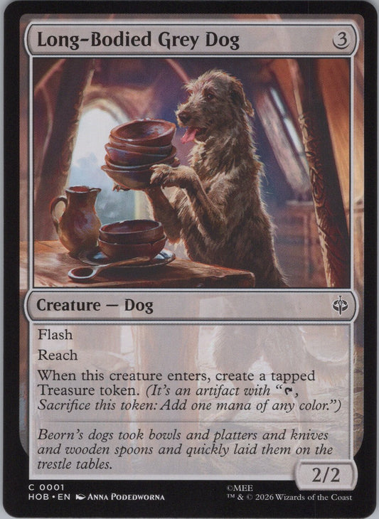 Long-Bodied Grey Dog