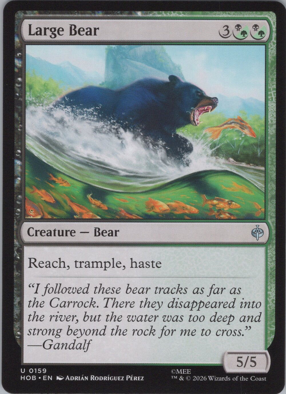 Large Bear