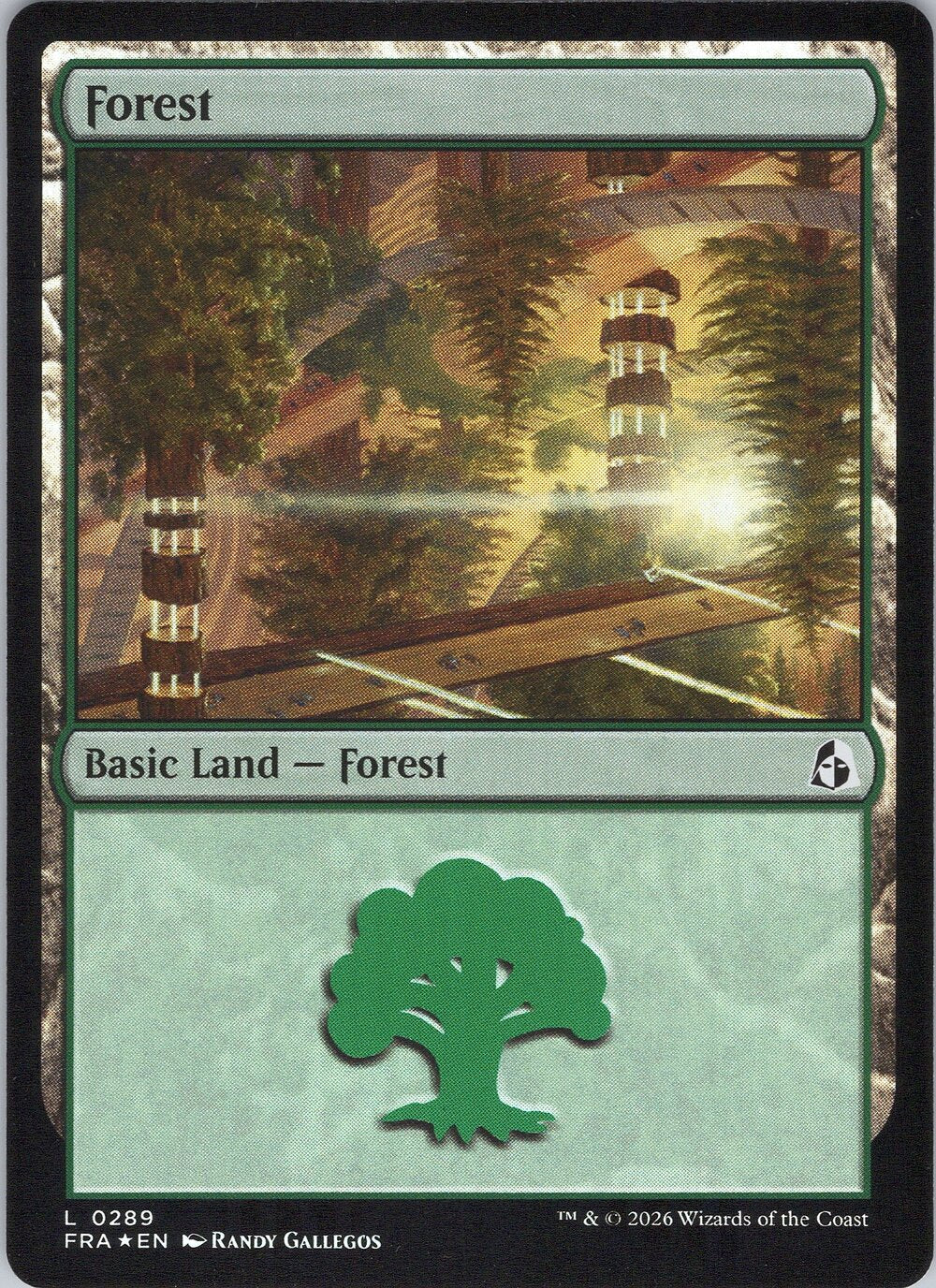 Forest